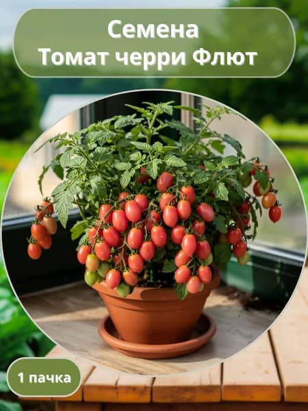 Томат черри Флют, семена 10 шт