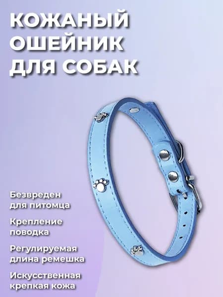 Ошейник для кошек, котов, котят, собак мелких пород, щенков, искуственная кожа, голубой