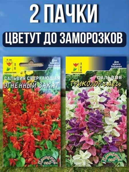Семена Сальвия Триколор и Огненный закат 2 пачки