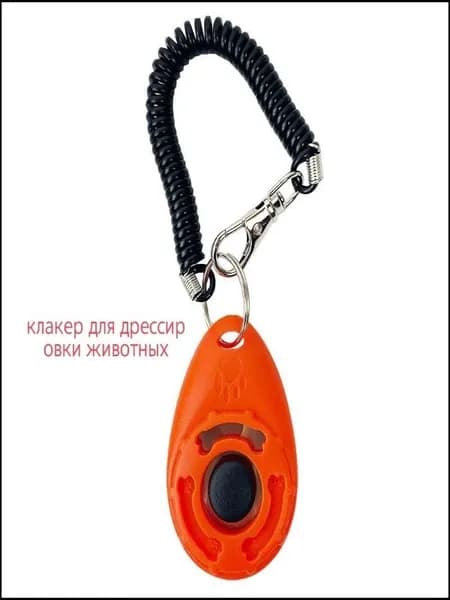 Кликер