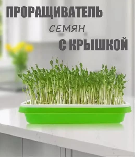 Парник, теплица мини 0.32х0.25х0.11 м пищевой пластик