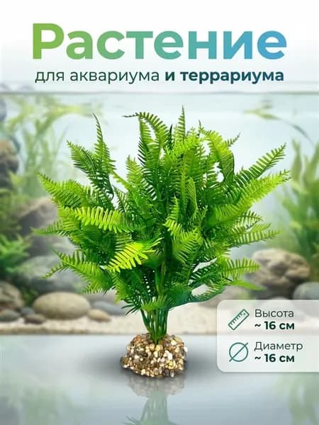 Растение для террариума и аквариума