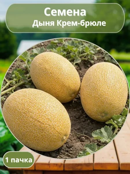 Коллекционные семена дыни Крем-брюле