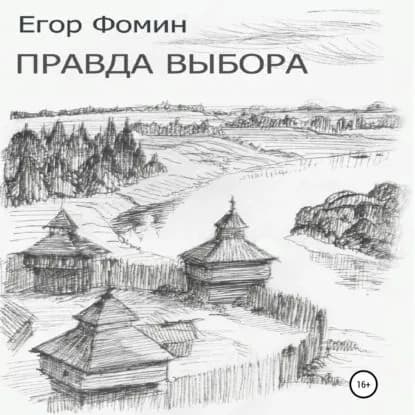 Правда выбора | Фомин Егор | Электронная аудиокнига