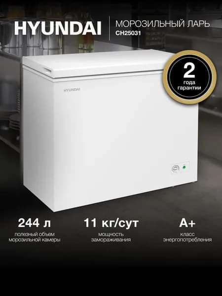 Морозильный ларь Hyundai CH25031 белый 120Вт