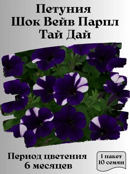 Петуния Шок Вейв Парпл Тай Дай, семена, 10 шт., 15 гр.
