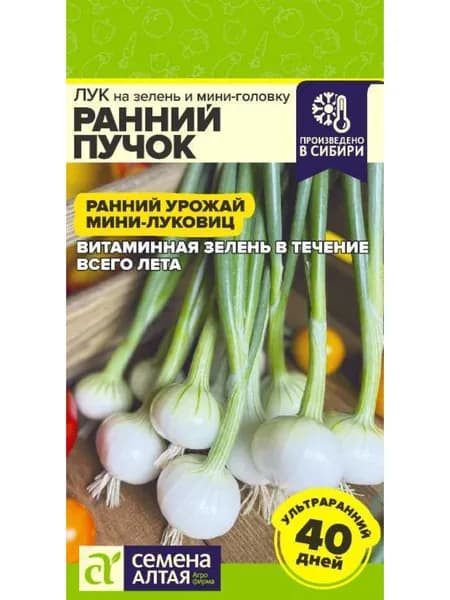 Семена лук Ранний Пучок на зелень и мини-головку, Семена Алтая, 1 цв.п 0,3г