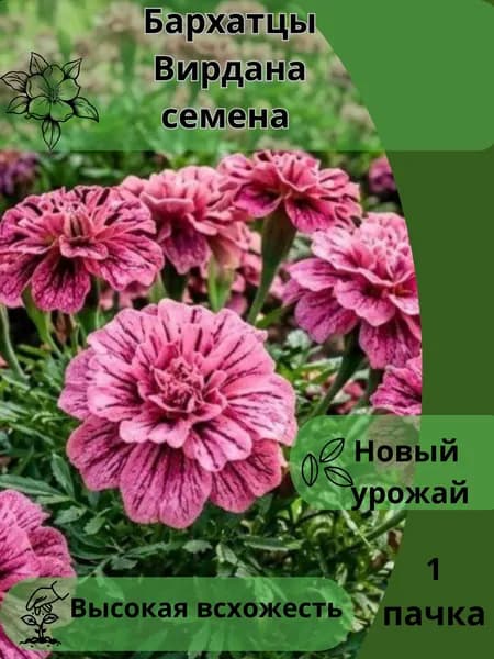 Бархатцы Вирдана, семена 10шт