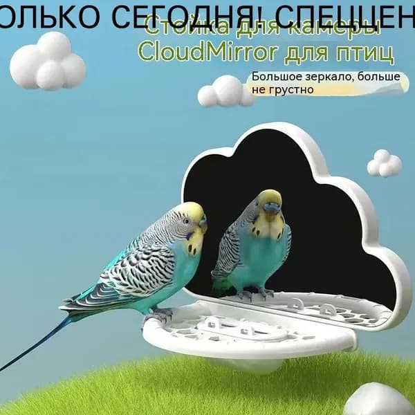 Умная жердочка-тренажер Игровое зеркало с антистресс эффектом для попугаев