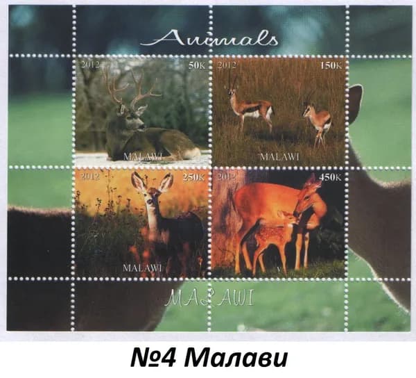Малави 2012 Животные, сувенирный лист с 4 марками Animals (MNH)