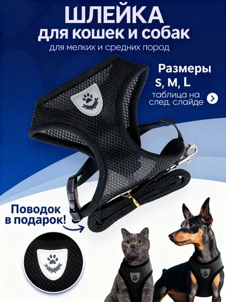 Шлейка для кошек с поводком, собак мелких пород