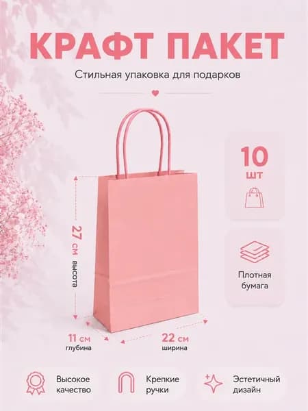 Крафт пакет бумажный с кручеными ручками 10шт