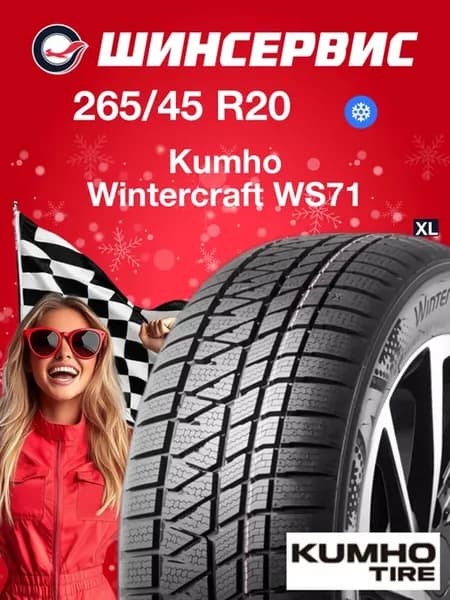 Шины зимние 265 45 r20 108V Wintercraft WS71