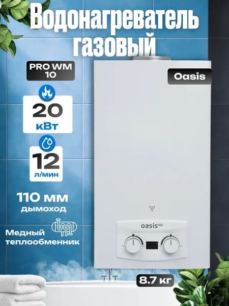 Газовый проточный водонагреватель PRO WM 10