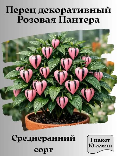 Перец декоративный Розовая Пантера, семена, 10 шт.