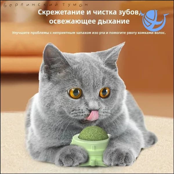 Игрушки для кошек, кошачья мята, леденец для кошек, шарик на стену