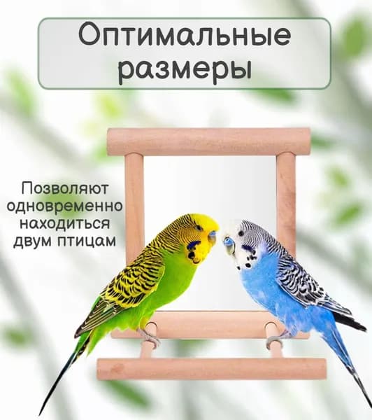 Зеркало с жёрдочкой для попугая деревянная игрушка, чтобы птичке было весело