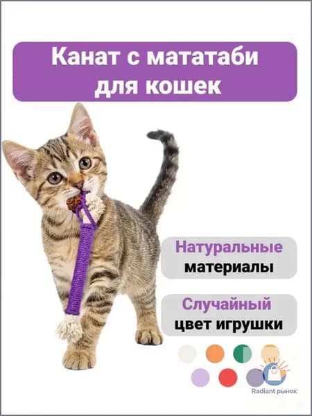 Канатик 20см с мататаби для кошек, жевательная игрушка для чистки зубов