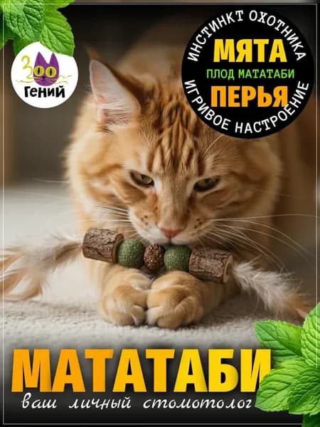 Игрушка для кошек мататаби, с плодом, мятные шарики и перья