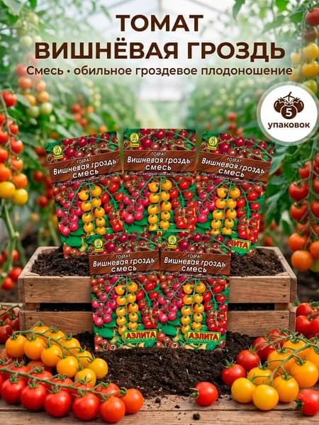 Томат вишневая гроздь семена, смесь томатов черри