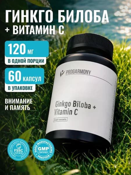 Гинкго Билоба 120мг с витамином С, витамины для мозга, памяти и концентрации, 60 капсул