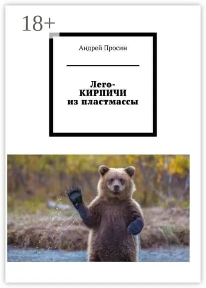 Лего-кирпичи из пластмассы | Просин Андрей | Электронная книга