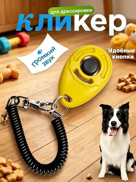 Кликер для дрессировки собак браслет, оранжевый