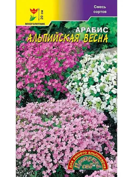 Арабис Альпийская весна (смесь сортов) многолетник