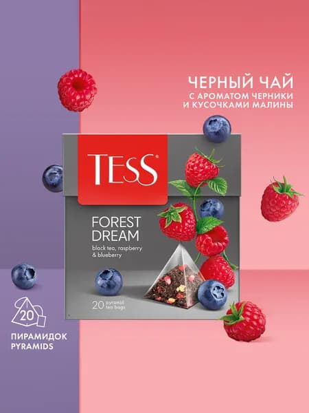 Черный чай с малиной и ароматом черники Tess Forest Dream в пирамидках, 20 шт