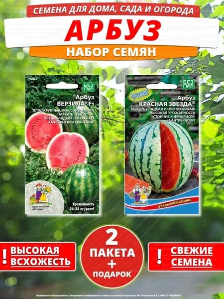 Семена арбуз для дома сада посадки