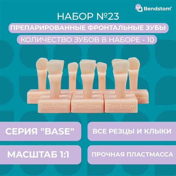 Набор №23 Base фронтальные зубы (10 штук) препарированные / для отработки мануальных навыков / стоматологические модели для реставрации