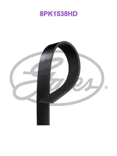 8PK1538HD, Ремень поликлиновой генератора