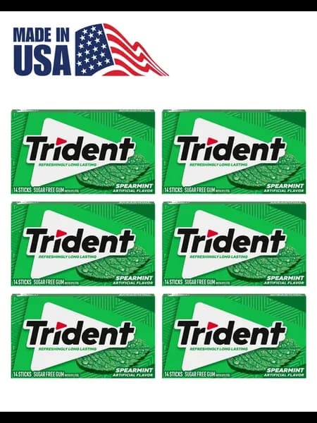 Жевательная резинка БЕЗ САХАРА Spearmint (мята), 6шт. США
