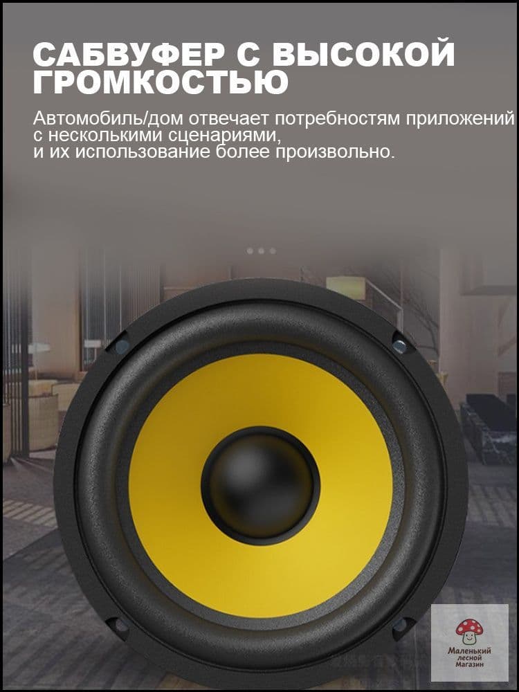 Сабвуфер автомобильный, 13 см (5 дюйм.)