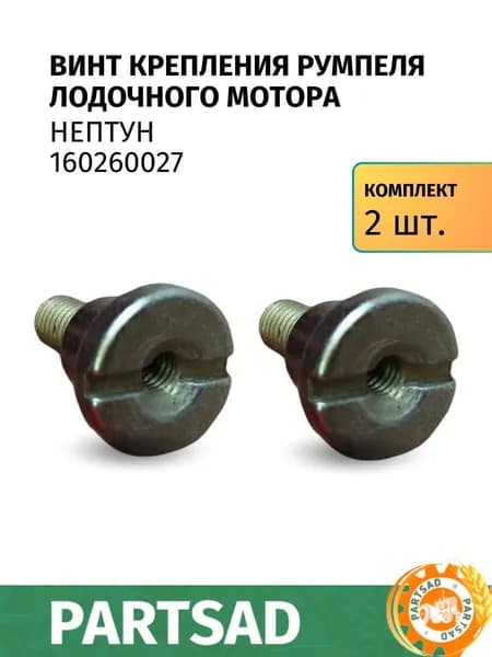 Винт крепления румпеля Нептун 160260027-2 шт