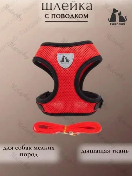 Шлейка для собак мелких и средних пород с поводком