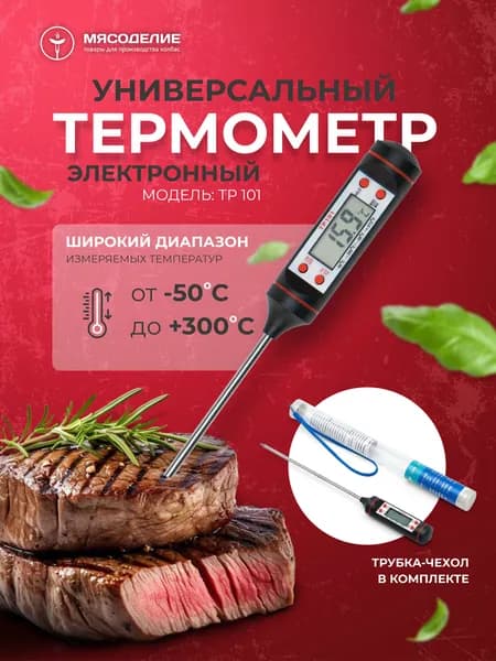Электронный термометр с щупом TP101
