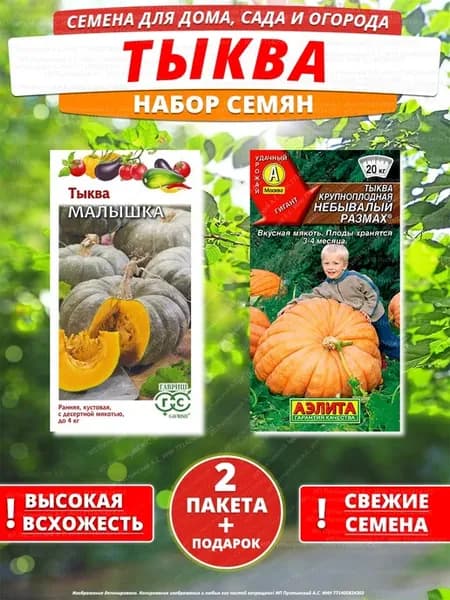 Семена тыква для дома сада посадки