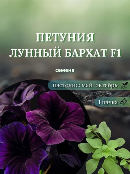 Петуния Лунный бархат F1 (Moon Velvet), семена, 10 шт.