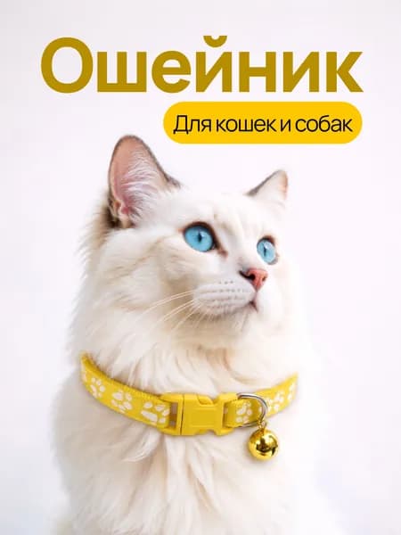 Ошейник с колокольчиком для кошек, котят, собак мелких пород и кроликов