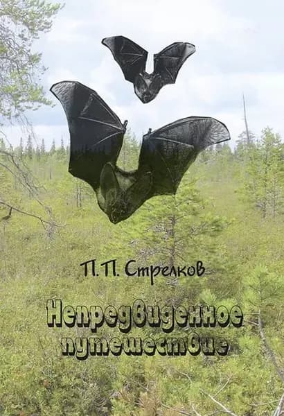 Непредвиденное путешествие | Стрелков Петр Петрович | Электронная книга
