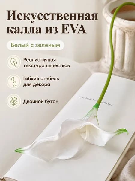 Стабилизированные цветы Калла 1 шт белый
