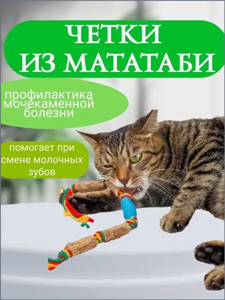 Игрушка для кошек палочки мататаби для зубов Кусалка