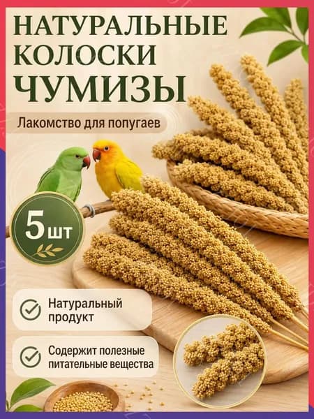 Чумиза для попугаев 5 шт. сенегальское просо лакомство игрушка для птиц и грызунов , урожай 2025 года - КОПОШИЛКА бренд от производителя