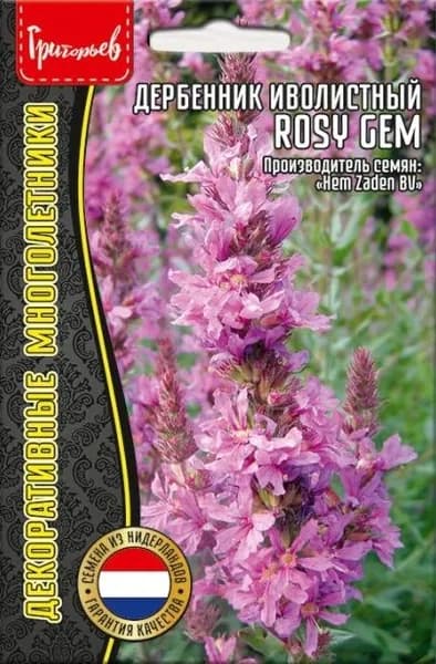 Дербенник иволистный Rosy Gem, семена многолетних цветов, 0,05 г. Медонос. Лекарственное растение