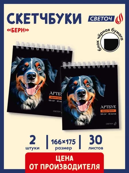 Скетчбук 30 листов 2 штуки Светоч Берн 01940