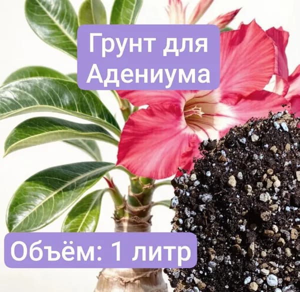 Авторский грунт для Адениума, 1 литр