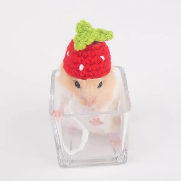 Pet Вязаная Шапка
