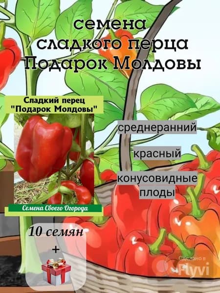 Семена сладкого перца Подарок Молдовы, среднераний, красный, 10 семян