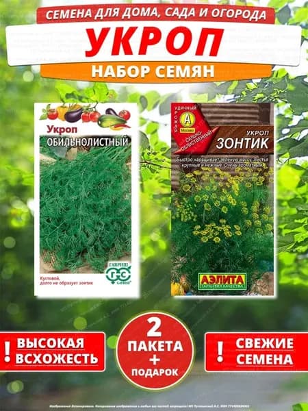 Семена укроп для дома сада посадки